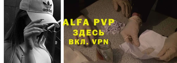 трава Иннополис