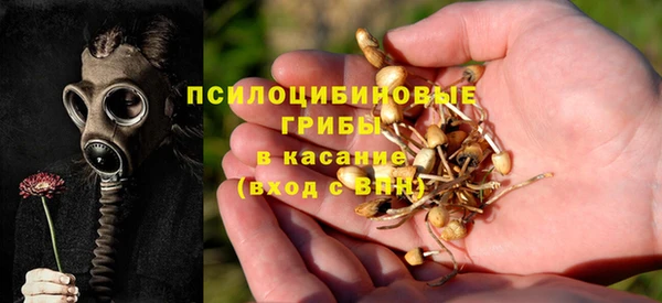 а пвп мука Инсар