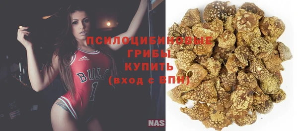 трава Иннополис