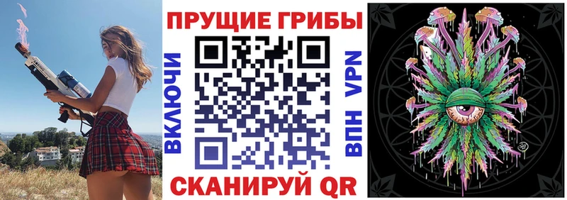 Купить закладки  Татарск  Псилоцибиновые грибы прущие грибы 
